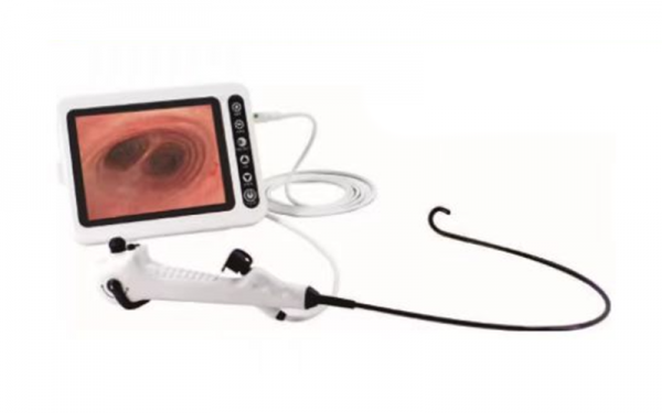 Disposable bronchoscope and portable image processor